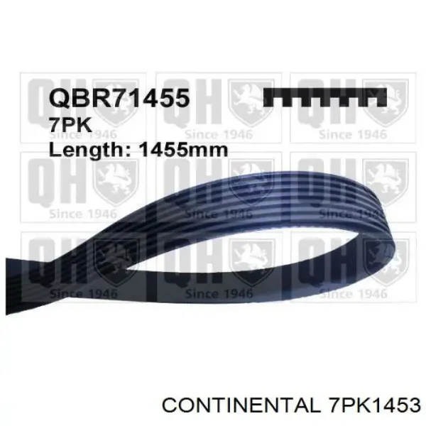 Correa de alternador 7PK1453 Continental/Siemens