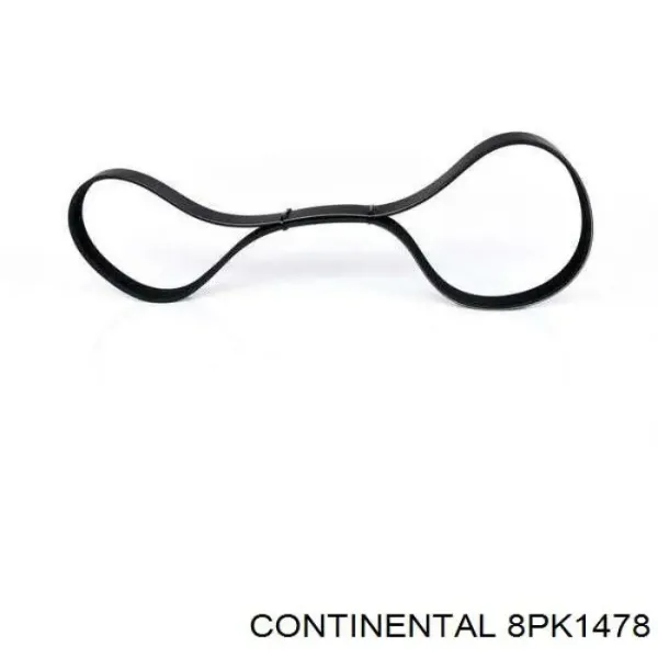 Correa de alternador 8PK1478 Continental/Siemens