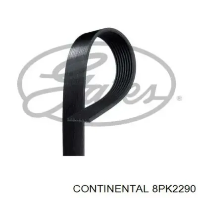 Correa de accesorios CONTINENTAL 8PK2290