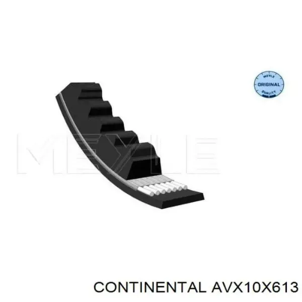 Correa de alternador AVX10X613 Continental/Siemens