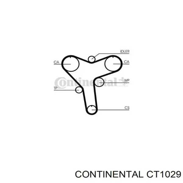 Correa distribución CT1029 Continental/Siemens