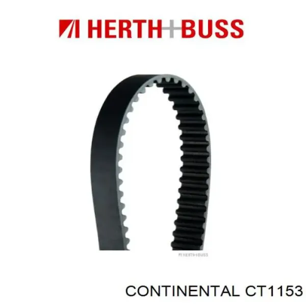 Correa distribución CT1153 Continental/Siemens