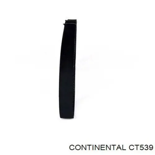 Correa distribución CT539 Continental/Siemens