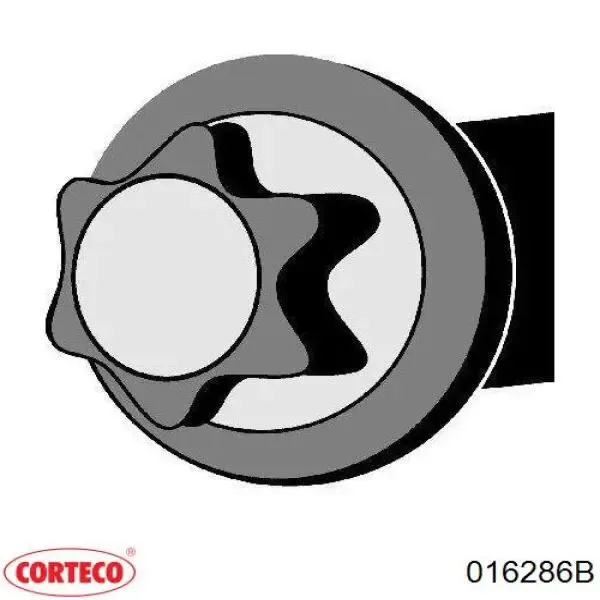 Tornillo culata 016286B Corteco