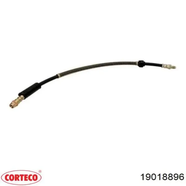 Latiguillos de freno delantero 19018896 Corteco
