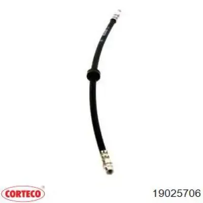 Latiguillos de freno delantero 19025706 Corteco