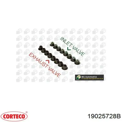 Retén del piñón del diferencial trasero CORTECO 19025728B