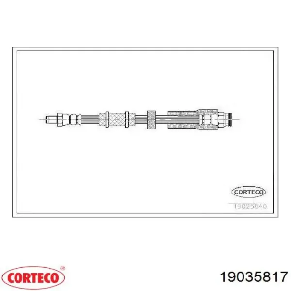 Latiguillos de freno delantero 19035817 Corteco