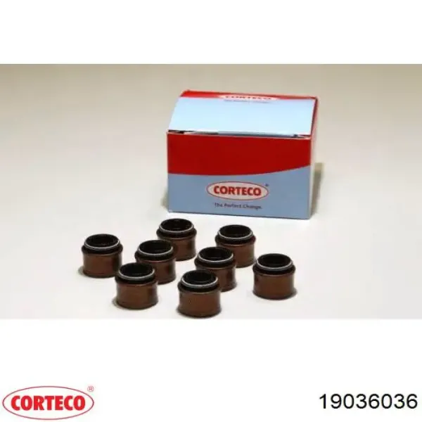 Retenes de válvulas 19036036 Corteco