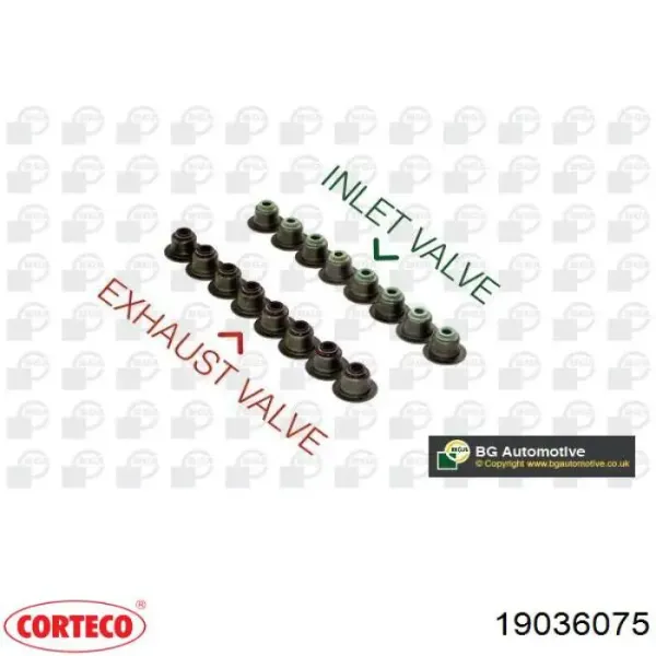 Juego de retenes de válvula de escape 19036075 Corteco