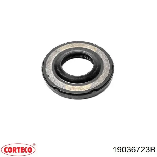  19036723B Corteco