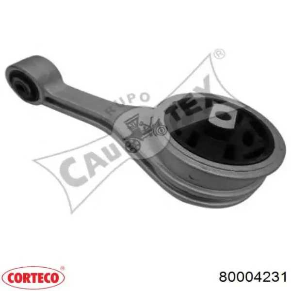 080204 Cautex