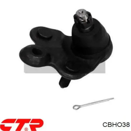 Rótula inferior de suspensión CBHO38 CTR