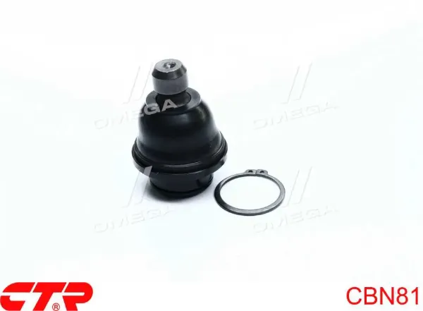 Rótula inferior de suspensión CBN81 CTR