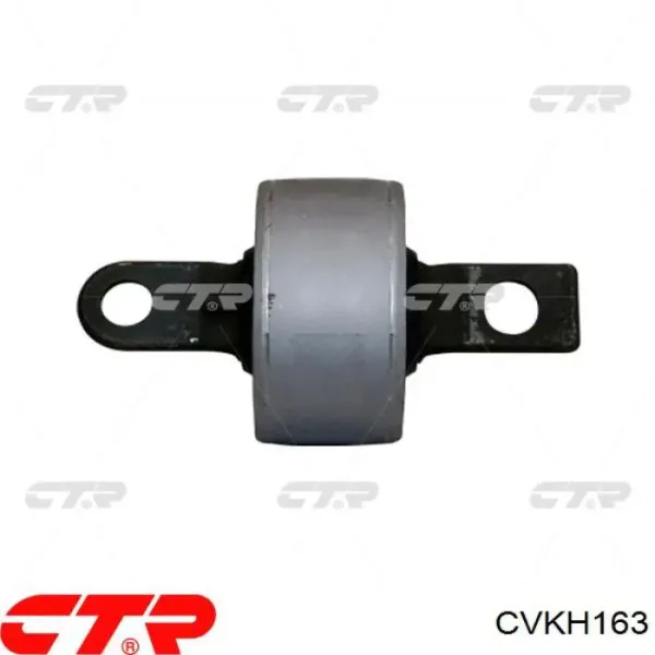 Buje del brazo longitudinal trasero CVKH163 CTR