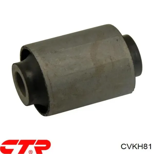 Buje de mangueta trasera CVKH81 CTR