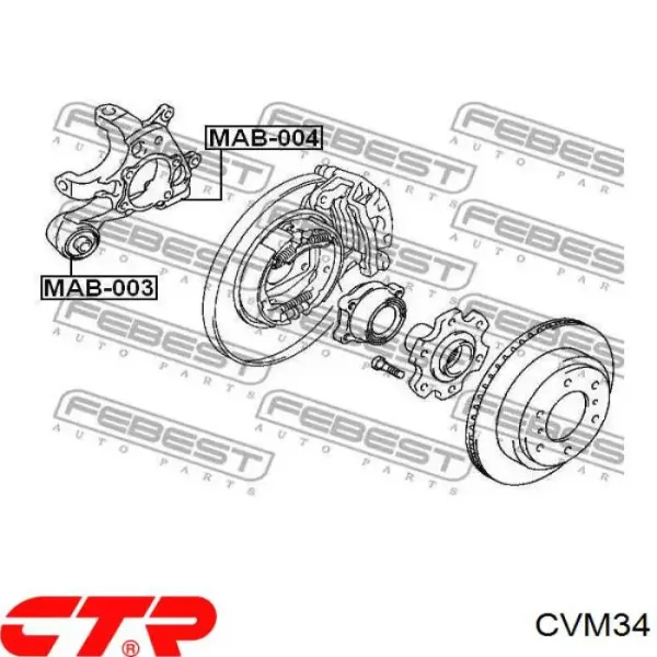 Buje de mangueta trasera CVM34 CTR