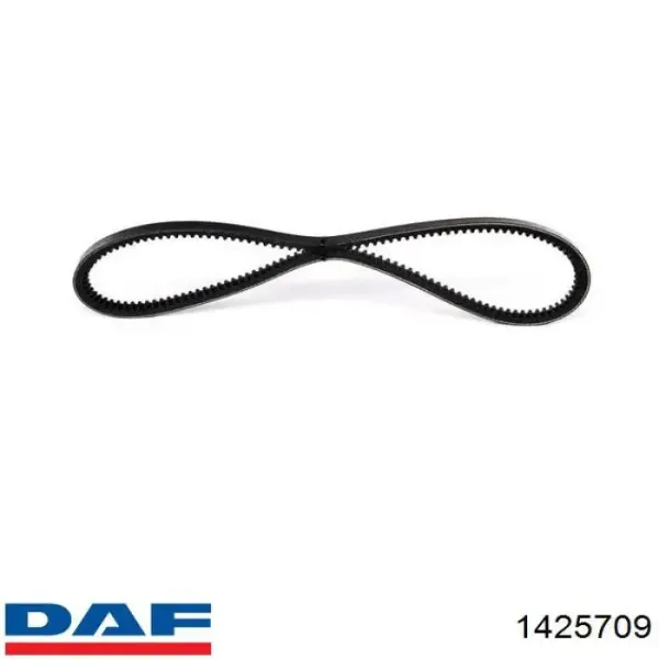 Correa de alternador 1425709 DAF