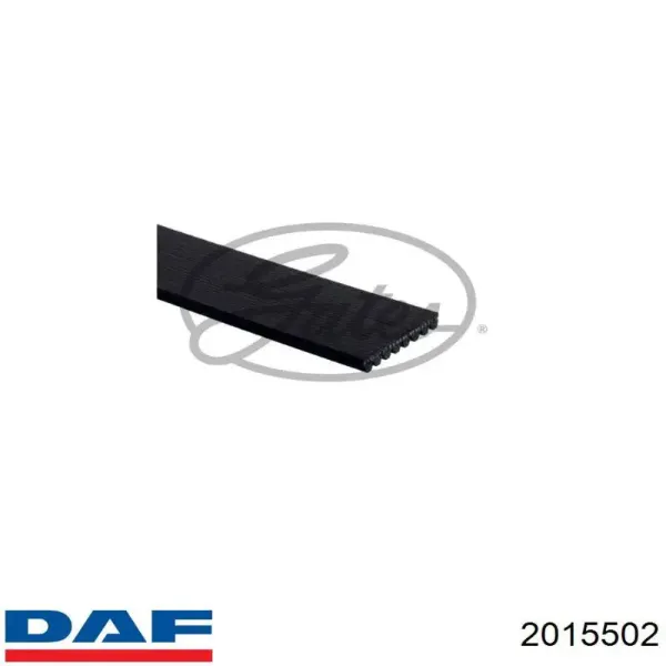 Correa de alternador 2015502 DAF