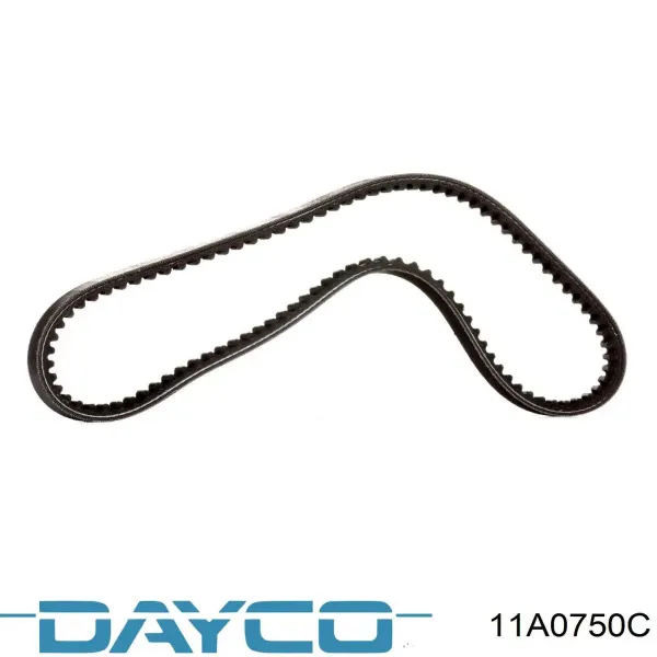 Correa de alternador 11A0750C Dayco