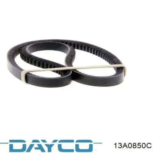 Correa de alternador 13A0850C Dayco