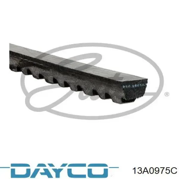 Correa de alternador 13A0975C Dayco