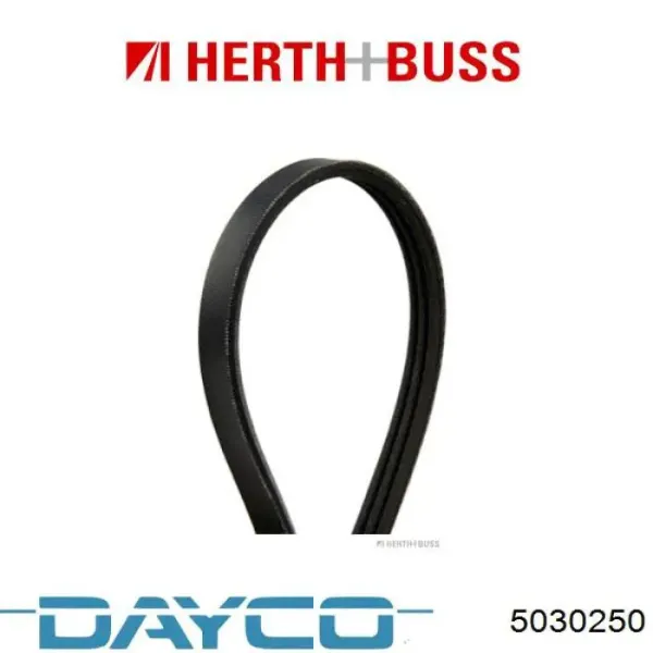 Correa trapezoidal Toyota Celica T16