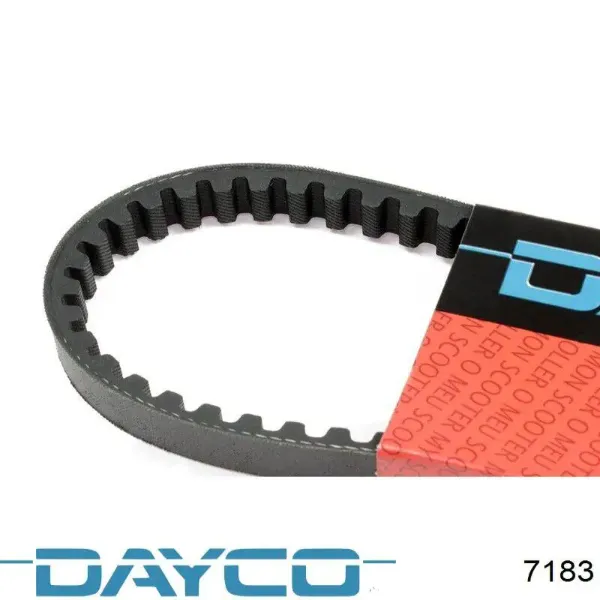  7183 Dayco