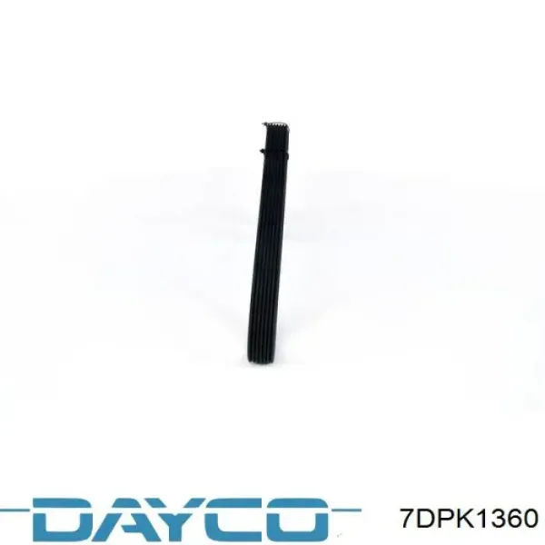 Correa de alternador 7DPK1360 Dayco