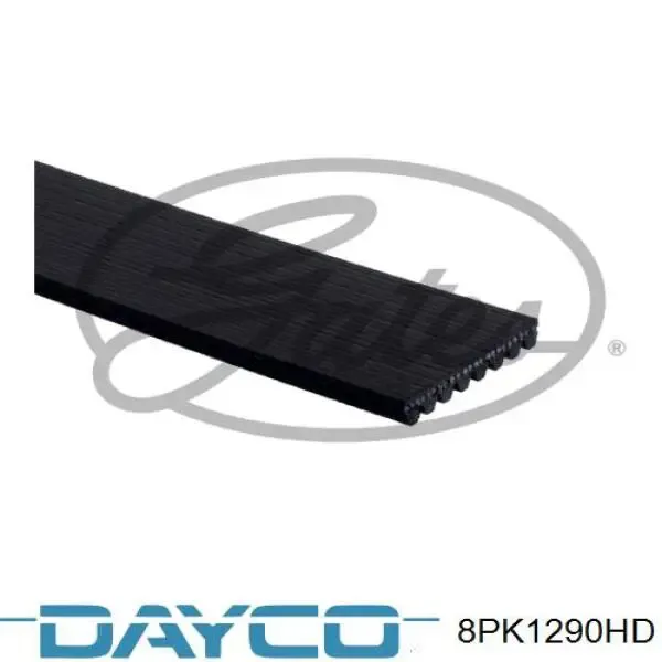 Correa de alternador 8PK1290HD Dayco