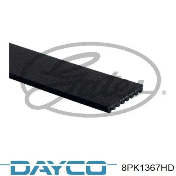 Correa de alternador 8PK1367HD Dayco