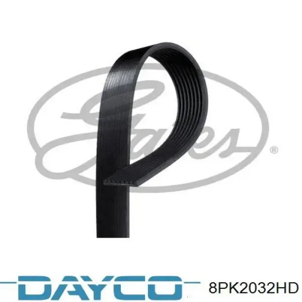 Correa de alternador 8PK2032HD Dayco