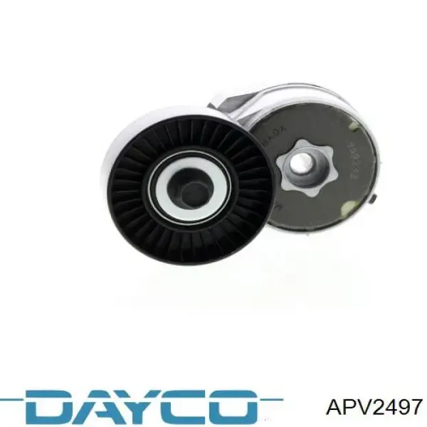Tensor de correa poli V APV2497 Dayco