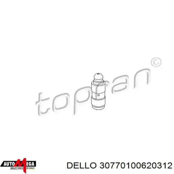 420008610 LUK
