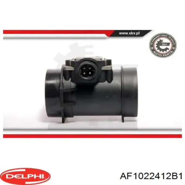 AF1022412B1 Delphi
