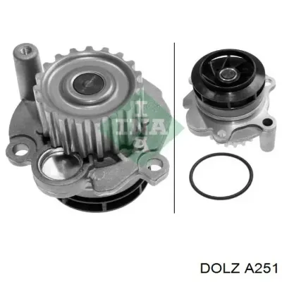 Bomba de agua DOLZ A251