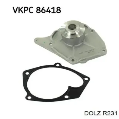 Bomba de agua DOLZ R231