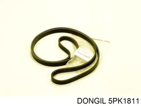 Correa de alternador 5PK1811 Dongil