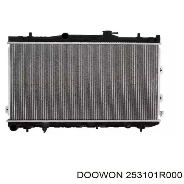 Radiador 253101R000 Doowon
