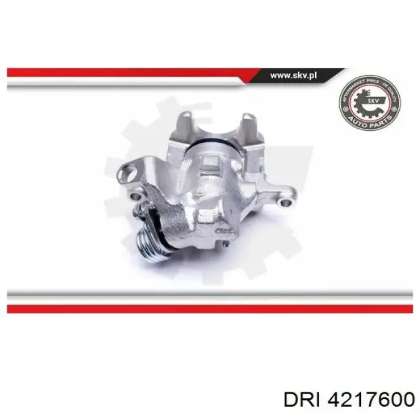 4217600 DRI