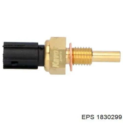 295089 EFI