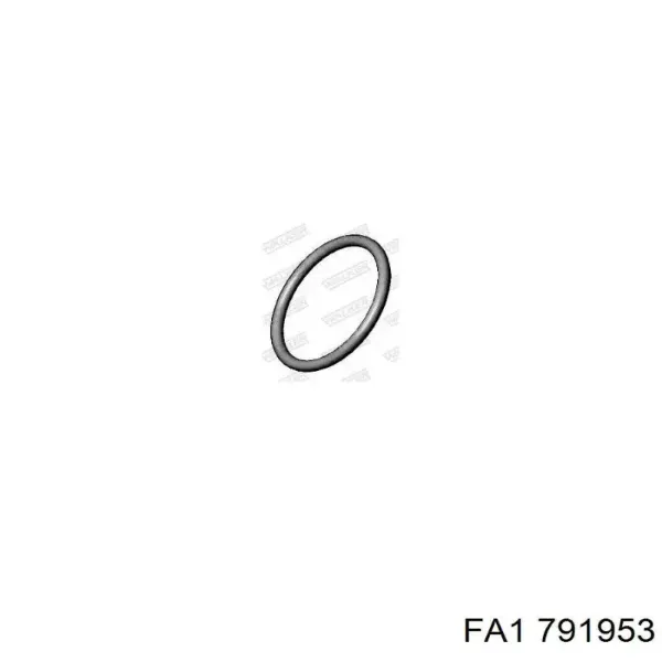 791953 FA1