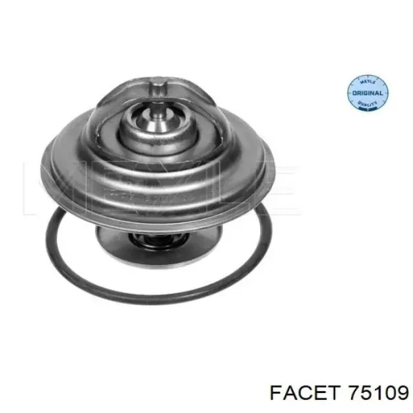 75109 Facet