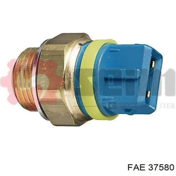 37580 FAE