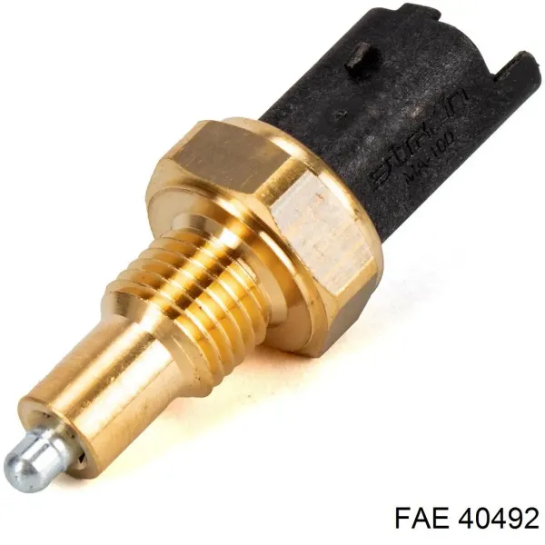 40492 FAE
