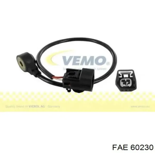 V25721070 Vemo