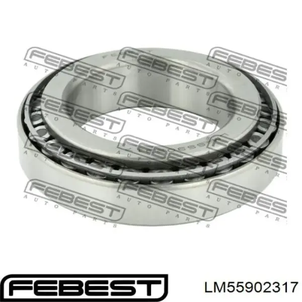 Cojinete exterior de rueda trasera 432105162R Renault (RVI)
