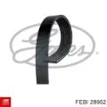Correa de alternador Ford Kuga CBS