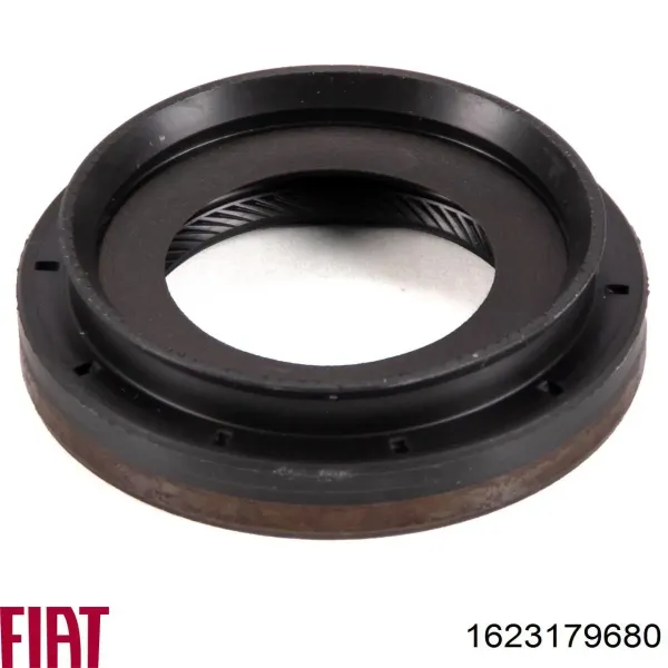 Anillo retén de semieje, eje delantero, derecho Citroen Jumpy 1 BS, BT, BY, BZ