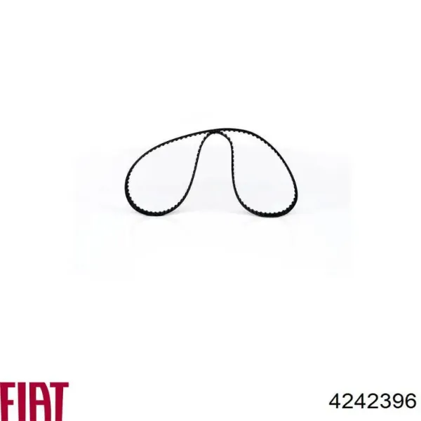 Correa distribución 4242396 Fiat/Alfa/Lancia